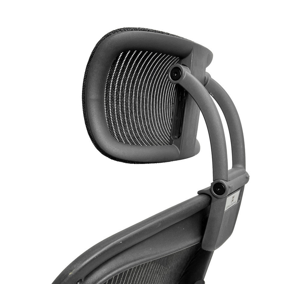 Aeron Head Support